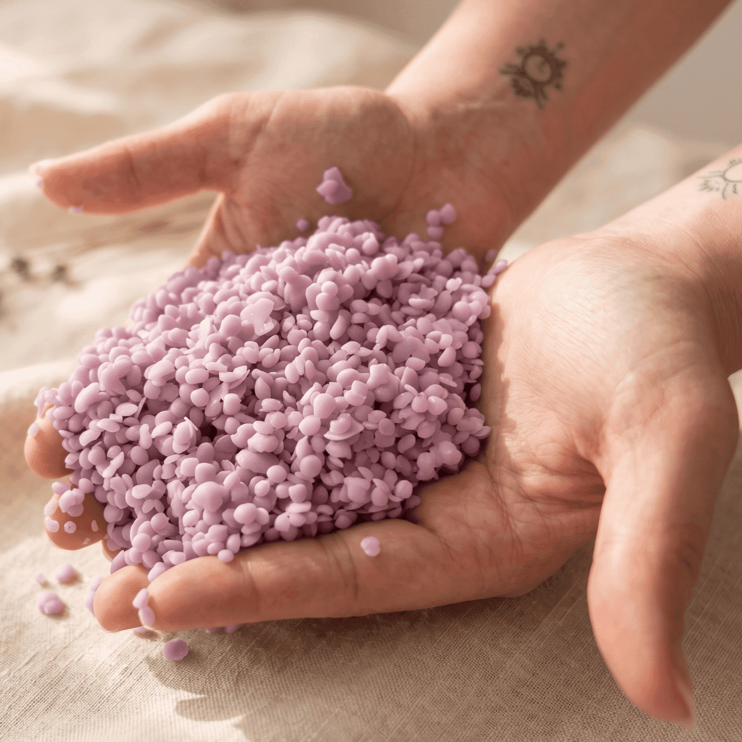 Lavanda